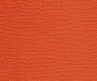 شامپیون - نارنجی