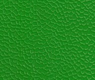 المپیک 2- سبز